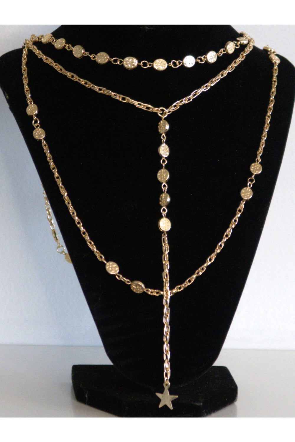 The Vienna Gold Detail Lariat Layered Necklace - Expressive Collective CO.