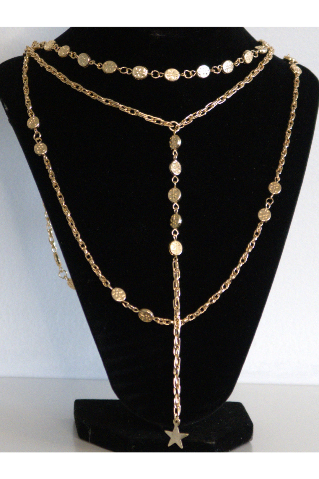 The Vienna Gold Detail Lariat Layered Necklace - Expressive Collective CO.
